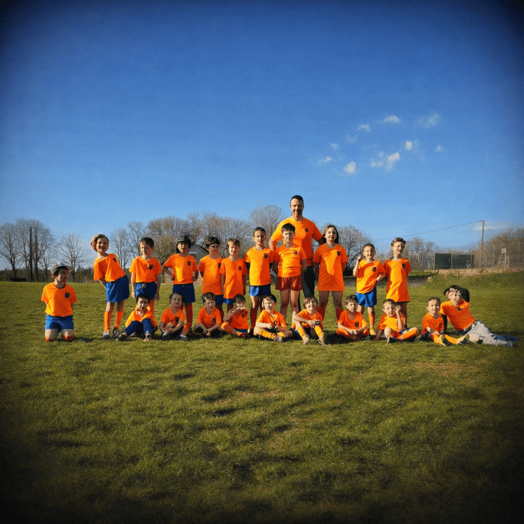 Les Lions villeneuve